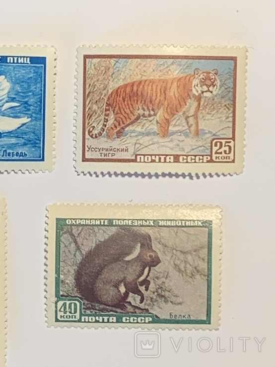 Полная серия марок Фауна СССР 1959г, фото №5