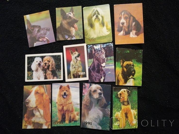 Календарики Собаки, фото №2