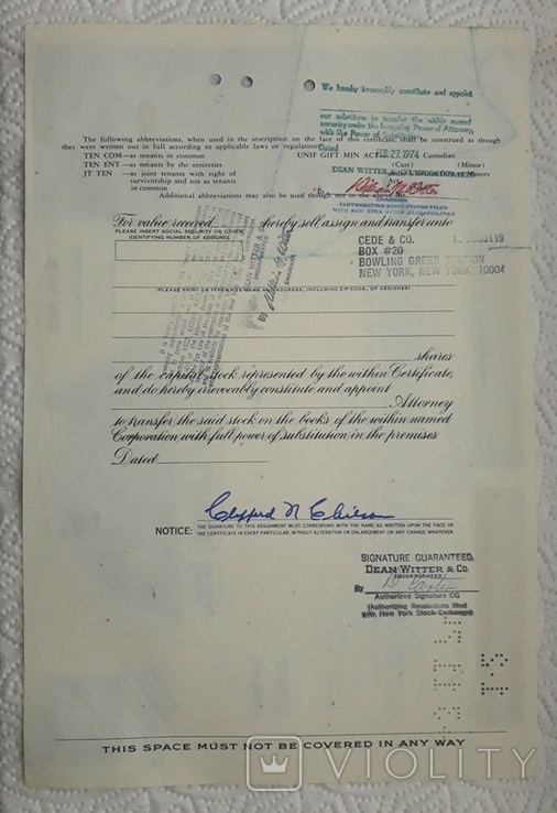 Сертифікат U.S. Stock Logistics Company 1973 р. на 100 акцій, фото №3