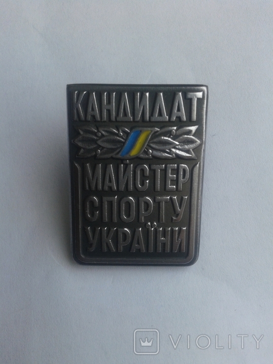 Кандидат мастер спорта Украина, фото №2