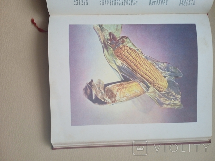 Книга о вкусной и здоровой пище 1964 года, фото №3