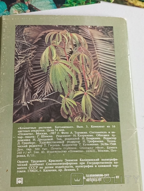 Комплект "Комнатные растения- бегониевые "выпуск 3,16шт, 1987г., фото №7