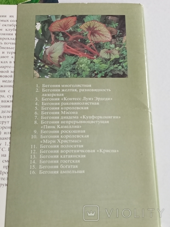 Комплект "Комнатные растения- бегониевые "выпуск 3,16шт, 1987г., фото №8