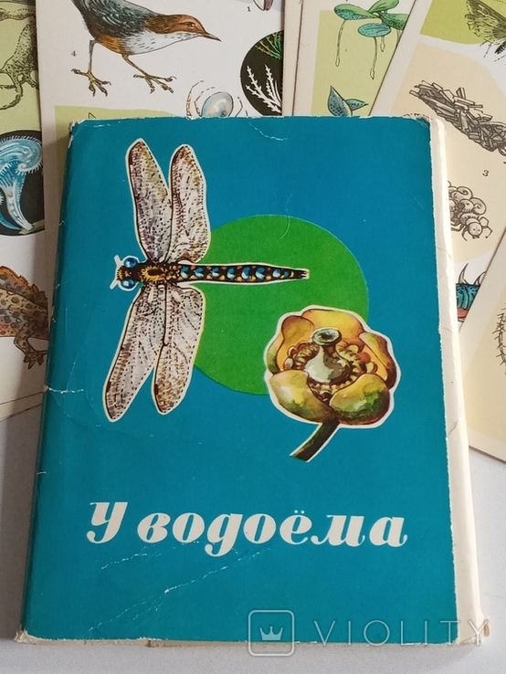 Комплект "У водоёма",выпуск 1, 16шт 1977г., фото №2