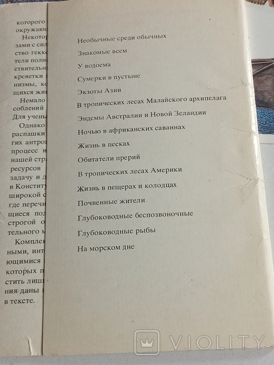 Природа после захода солнца. Обитатели темноты. 14шт.,1987г, фото №9