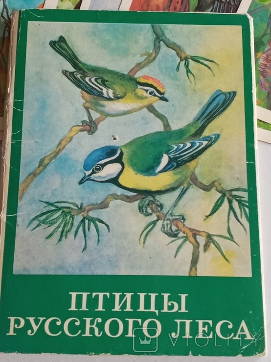 "Птицы русского леса," 16шт. 1979г., фото №2