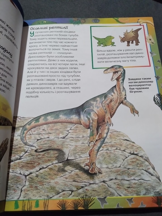 Моя перша книга про динозаврів. 2008, фото №5