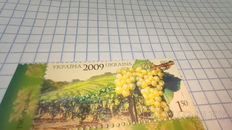 Марка 2009 Виноделие в Украине угловая с полями сухолиманский белый, фото №4
