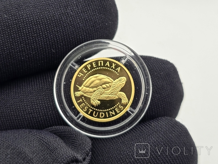 Золотая монета Черепаха 2 гривны 2009 Украина, фото №8