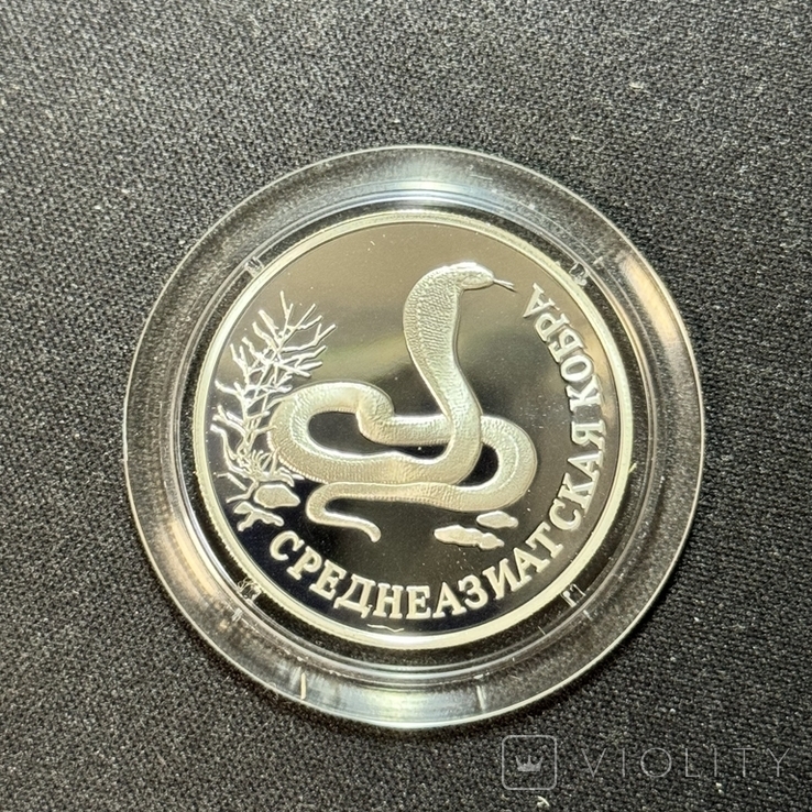 1 рубль 1994 среднеазиатская кобра красная книга серебро, фото №2