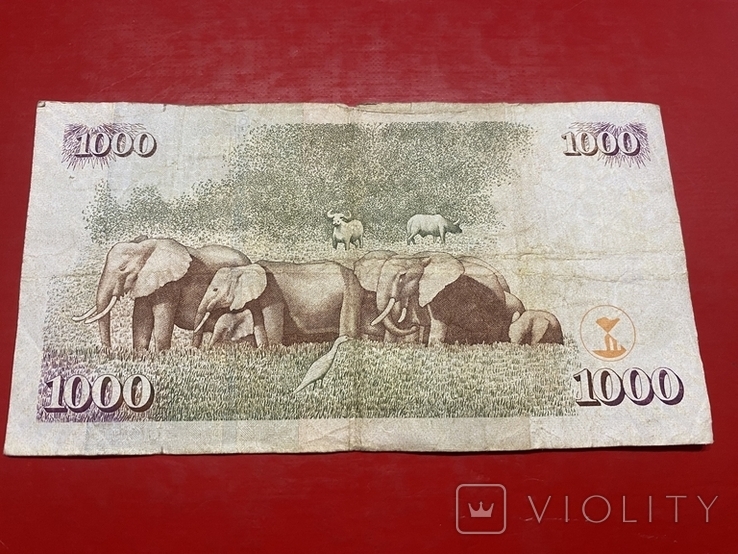Кения 1000 шиллингов, фото №3