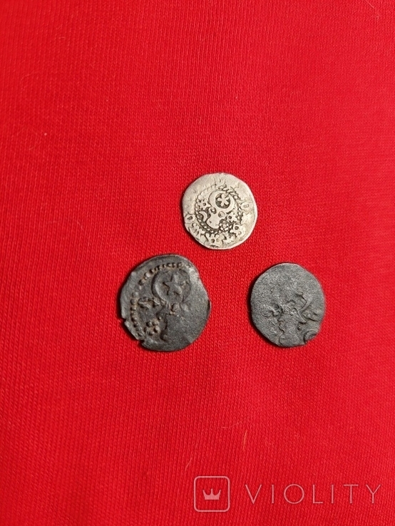 3 монеты Молдавского княжества., фото №7