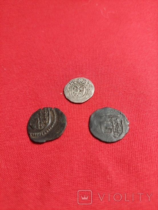 3 монеты Молдавского княжества., фото №9