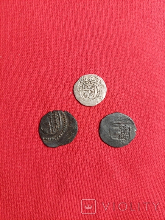 3 монеты Молдавского княжества., фото №10