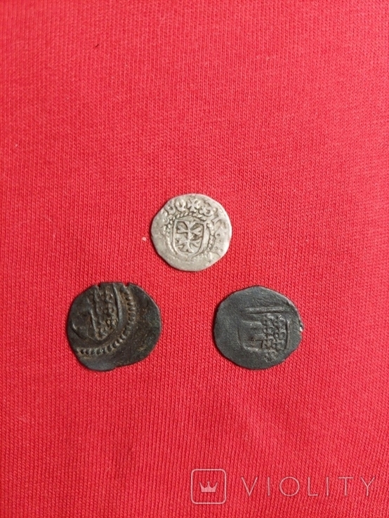 3 монеты Молдавского княжества., фото №13