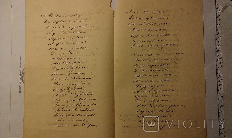 К.Д.Думитрашко "Копитько".1872 рік ,Щедрівка.Автограф., фото №9