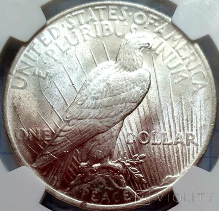 Мирный Доллар 1924 слаб NGC MS-61, США, фото №5