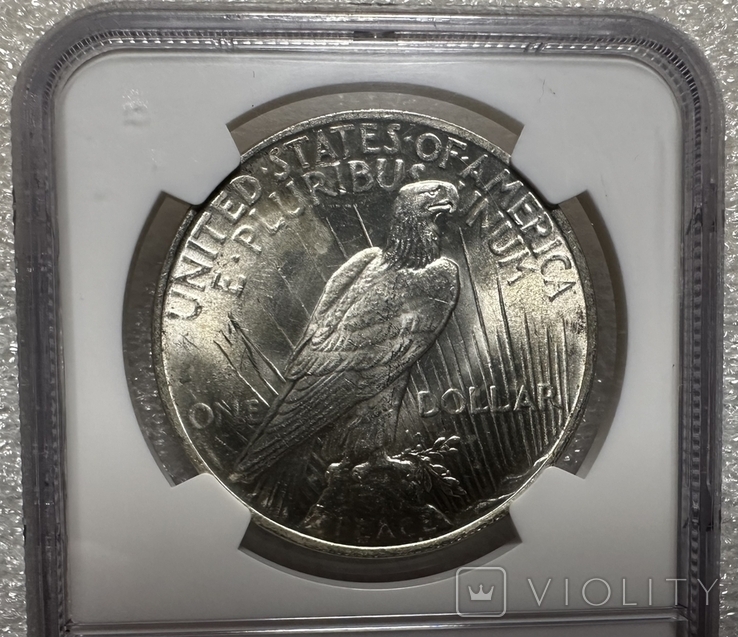 Долар Мирний 1922 слаб NGC MS-64 Америка США, фото №10