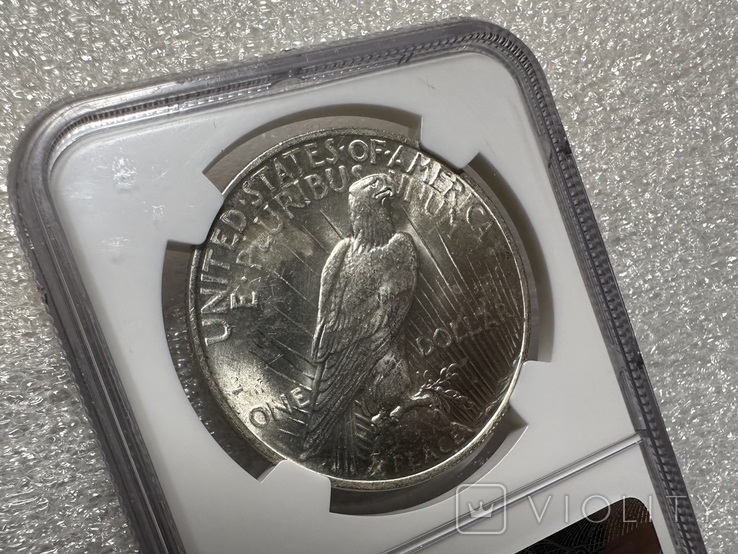 Долар Мирний 1922 слаб NGC MS-64 Америка США, фото №11