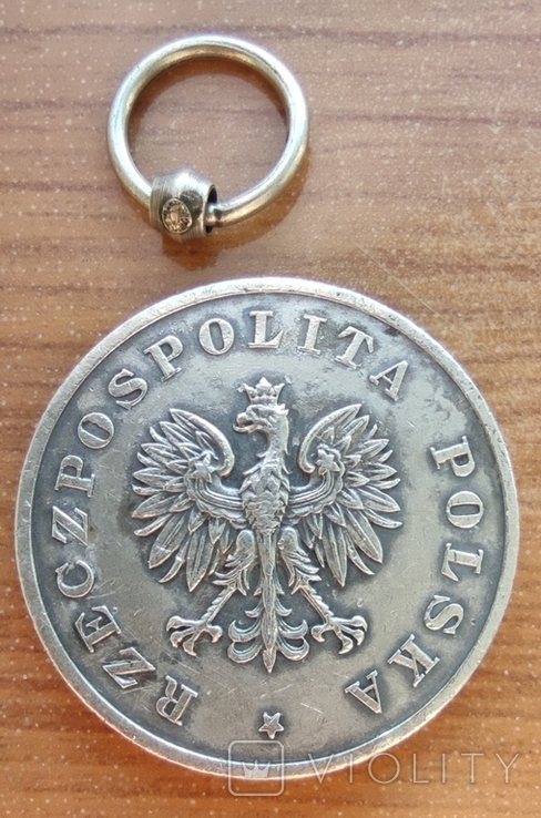 Медаль "Za ratowanie ginacych" (За порятунок гинучих), фото №3