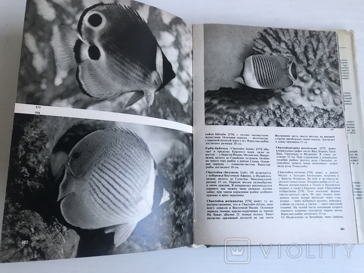 Ілюстрована енциклопедія риб. Мистецтво. Франк. Видавництво ARTIJA, Прага. Рік випуску: 1975., фото №12