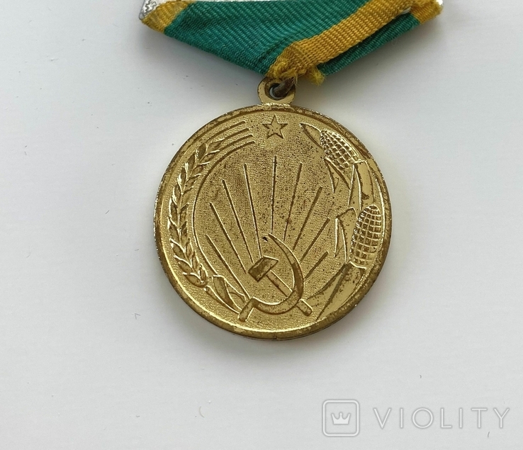 Медаль "За освоение целинных земель", фото №5