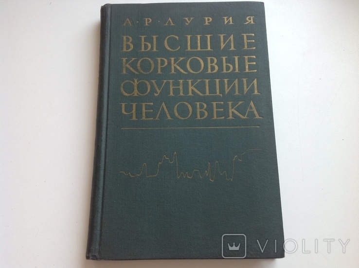 Лурия. Высшие корковые функции человека и их нарушения , 1962, фото №2