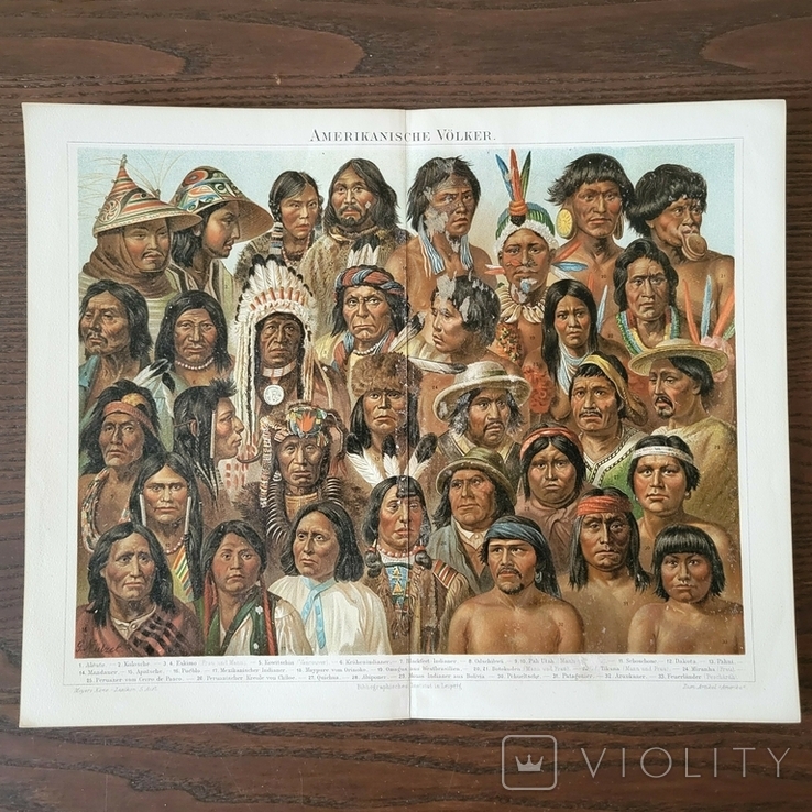 1895 Америка Индейцы человеческие расы хромолитография Антропология Абориген, фото №3
