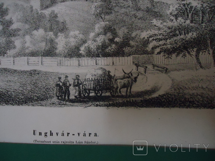 Закарпаття 1860-і рр Ужгород з угорського журнала, фото №4