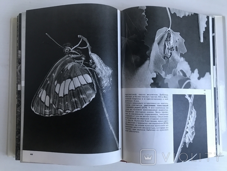 Ілюстрована енциклопедія комах. Видавництво «АРТІЯ», Прага. 1977., фото №8