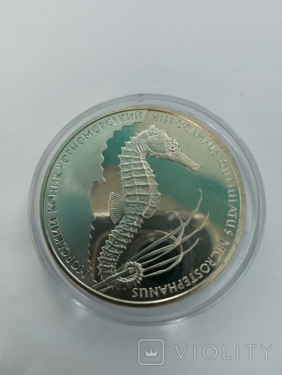 Морський коник чорноморський 2 гривні 2003 рік з 1 гривні, фото №2