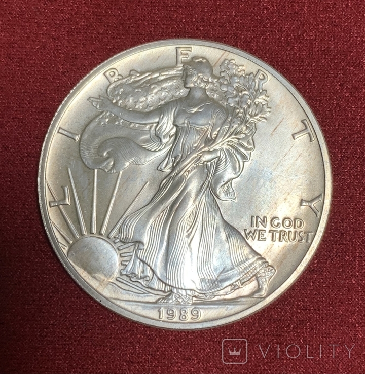 Доллар 1989 год №1 унция серебра Шагающая Свобода, фото №2