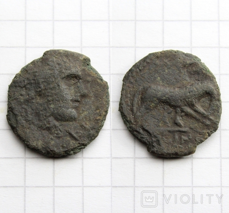 Антична монета - вовчиця, 2.01г., фото №2