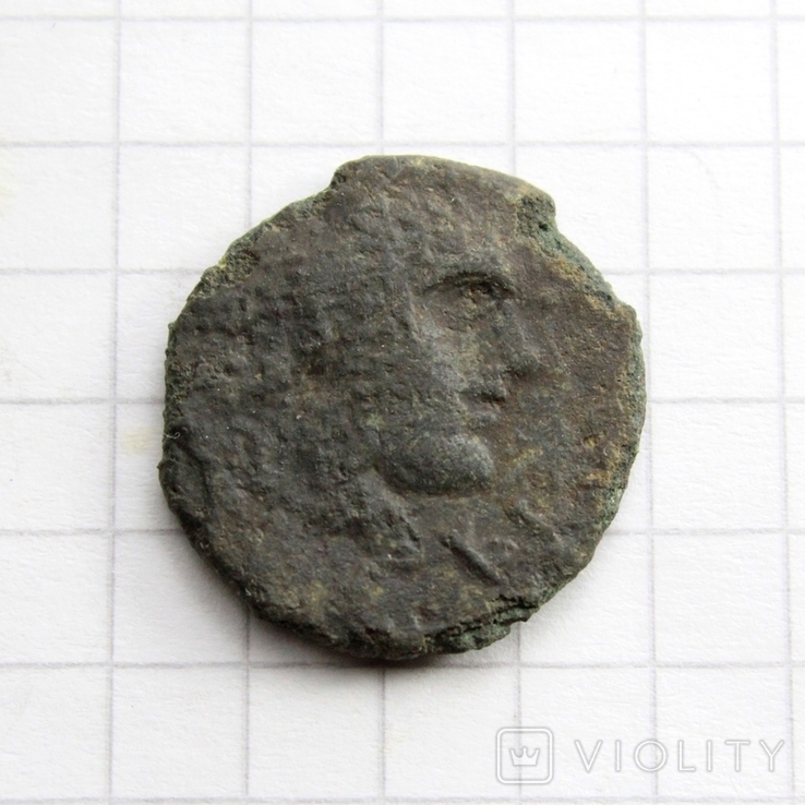 Антична монета - вовчиця, 2.01г., фото №5