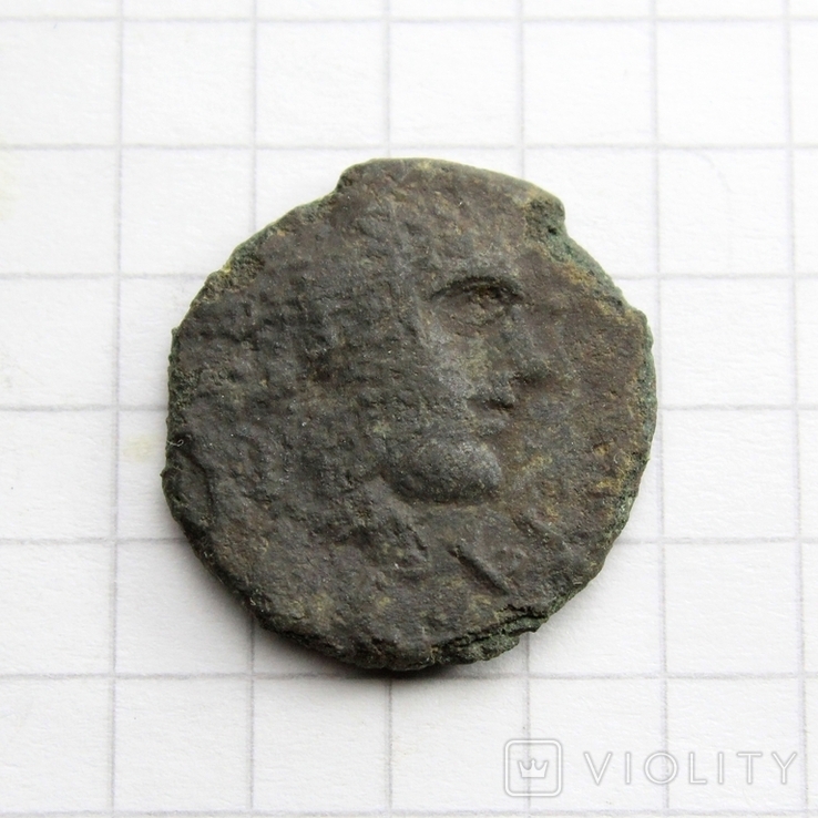 Антична монета - вовчиця, 2.01г., фото №7