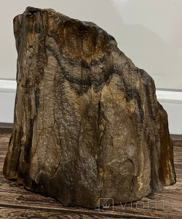 Скам'яніле дерево (вага 6.100 кг), фото №3