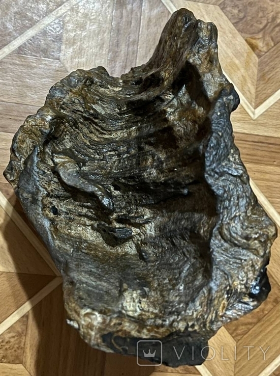 Скам'яніле дерево (вага 6.100 кг), фото №7