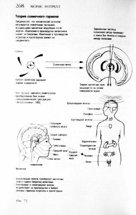 Сверхбоги. Они спасли человечество Морис Котрелл, numer zdjęcia 5