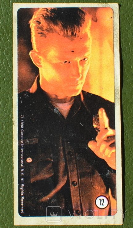 Наклейка "Terminator" №12