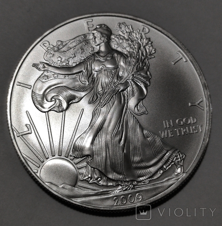США 1 Доллар 2009. Американский орёл. Шагающая Свобода, фото №2