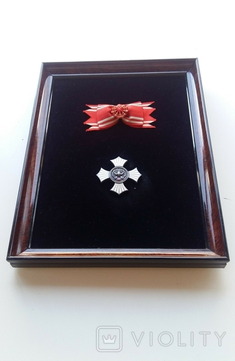 Орден Заслуг Червоного Хреста, фото №3