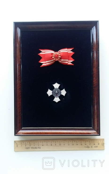 Орден Заслуг Червоного Хреста, фото №8