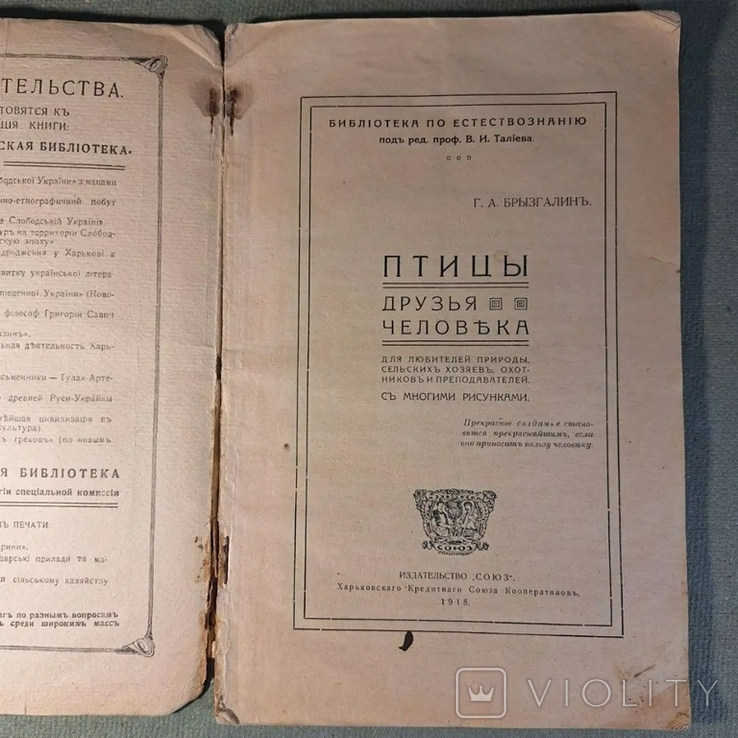 Птицы друзья человека Харьков, фото №5