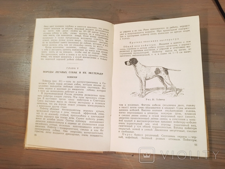 Мисливські та лягаві собаки. 1949., фото №4