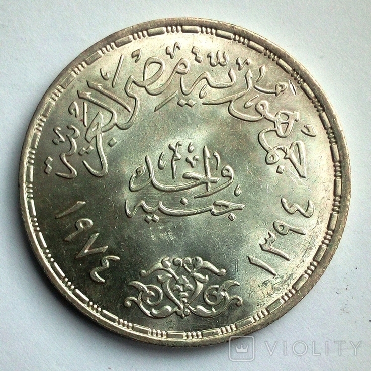 Египет 1 фунт 1974 г. - Война Судного дня, фото №6
