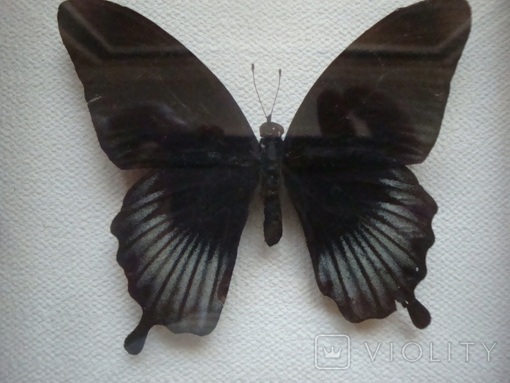 " Бабочки " сувенир, фото №6