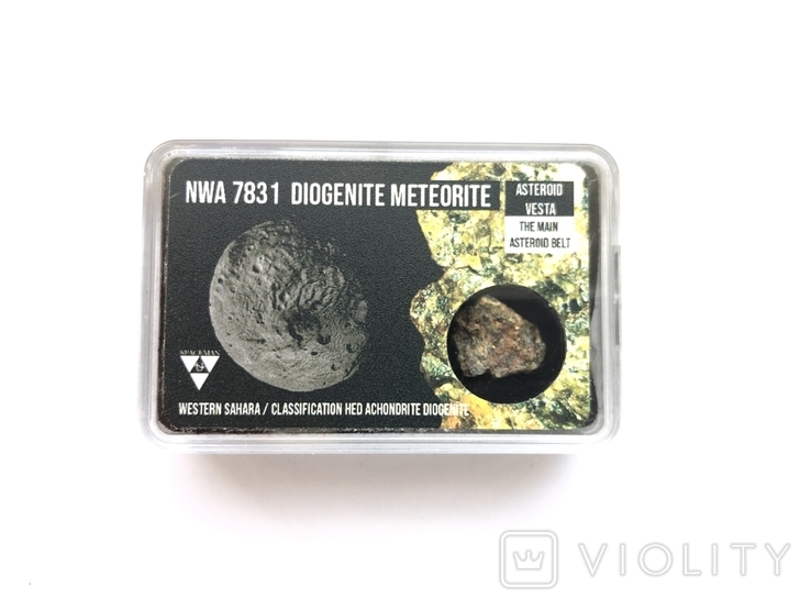 Зразок Метеорита Диогенита NWA 7831 з Астеройда Веста, фото №2