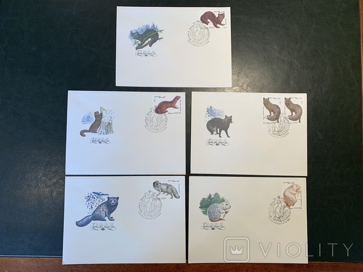 Полная серия марок Ценные породы пушных зверей на конвертах первого дня 1980г, фото №2