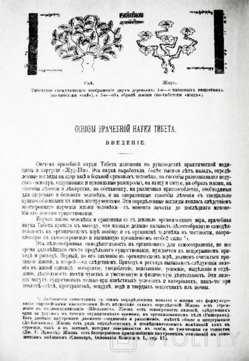 Основы врачебной науки Тибета. ЖУД-ШИ. П. Бадмаев, фото №11