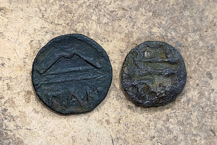 2 монетки ПАN, фото №2